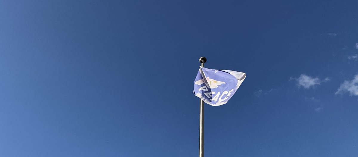 Prof. Dr. Sefik Tagay